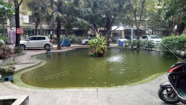 金地花苑外景图