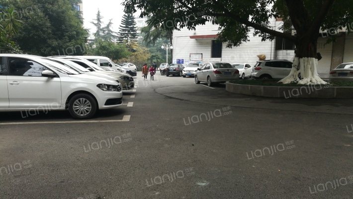 县委职工宿舍外景图