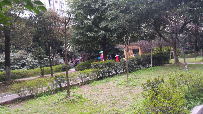 华盛春天外景图