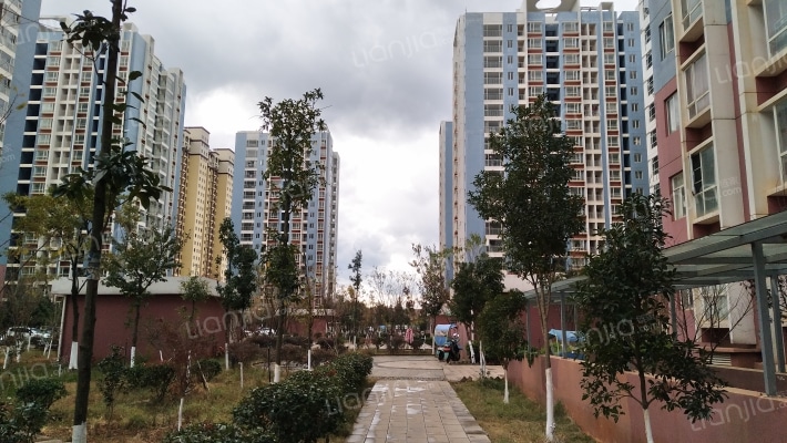 锦绣兰苑外景图