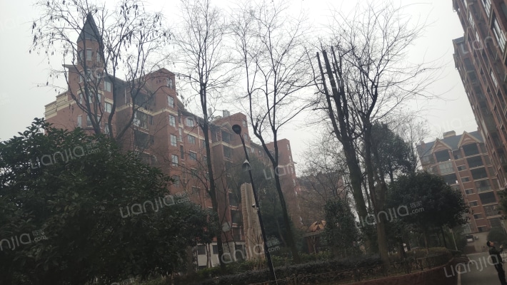 蓝祥城南1号外景图