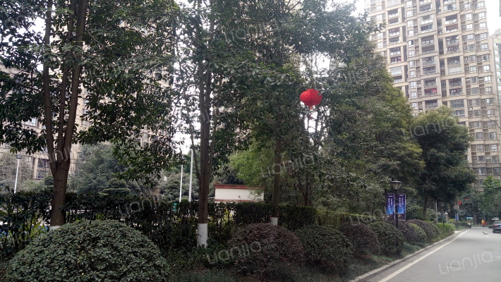 世纪金马生态城外景图