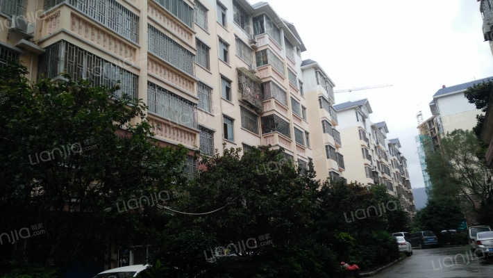 金龙五品外景图