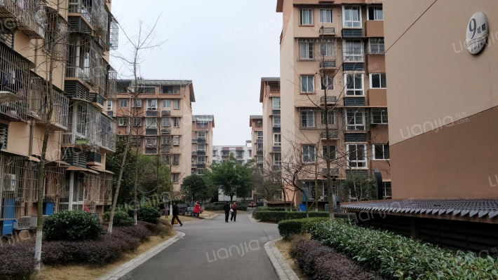 鼎虹蓝城外景图