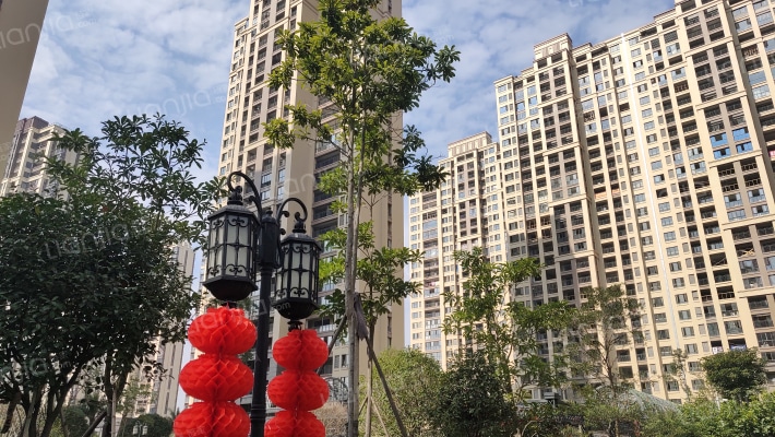 禹洲学苑外景图