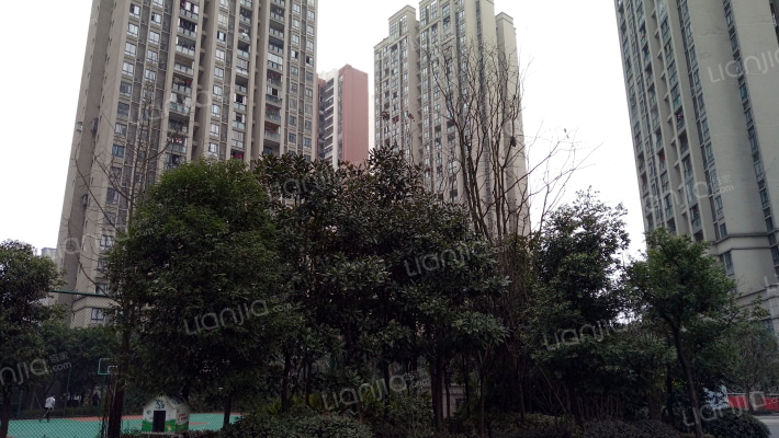 南滨花园外景图