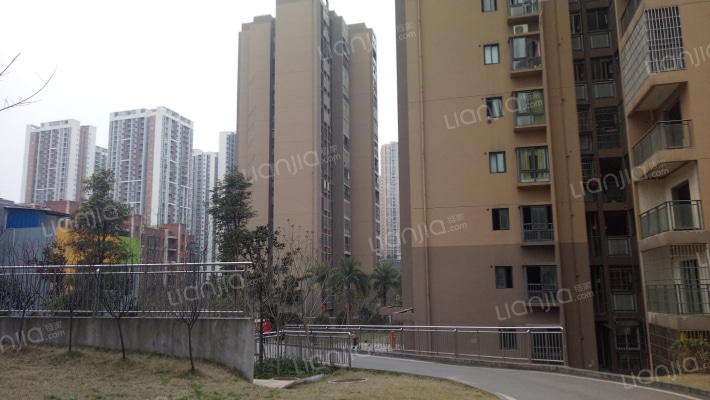 义乌鑫城东区外景图