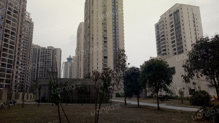 外滩国际城外景图