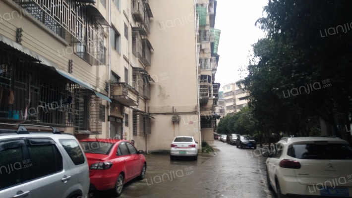 金城山庄南区外景图