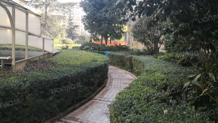 美伦花乡外景图