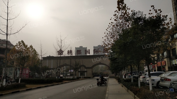 桃都国际城外景图