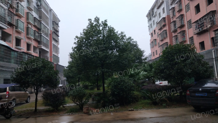 青春华庭外景图