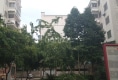 西湖金典16