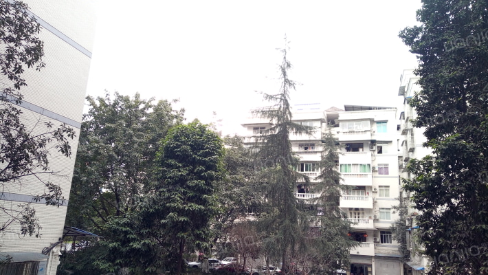 三星雅苑外景图