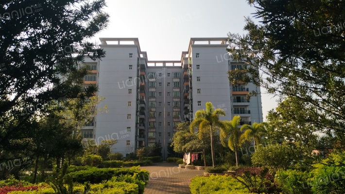 狮岭城市广场外景图