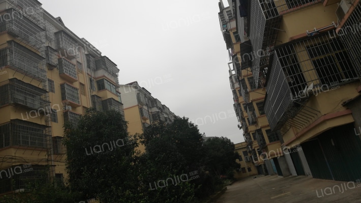 中贤小区外景图