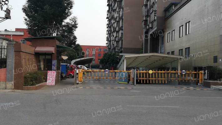 左岸春天外景图