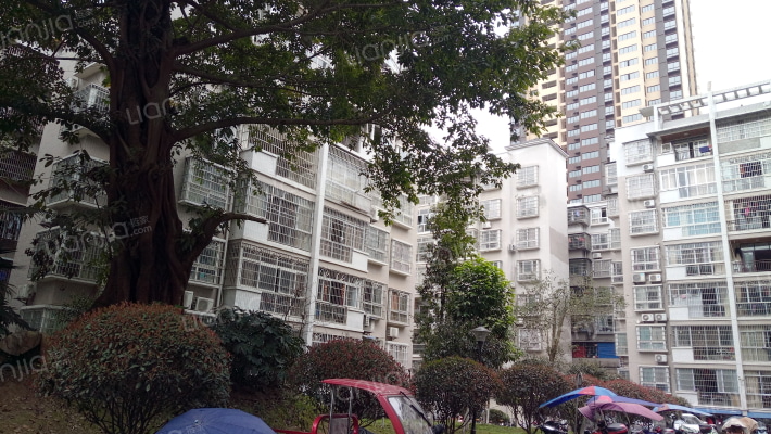 华泰明珠外景图