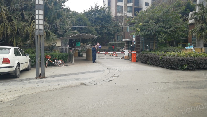 金雁明珠外景图