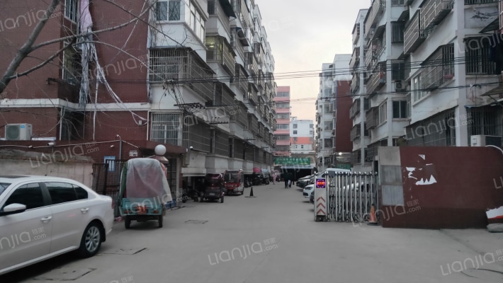 紫藤花园外景图