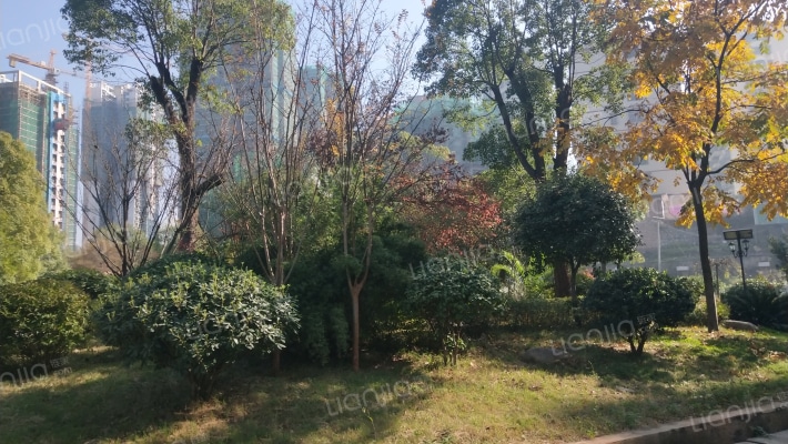 康桥美郡外景图