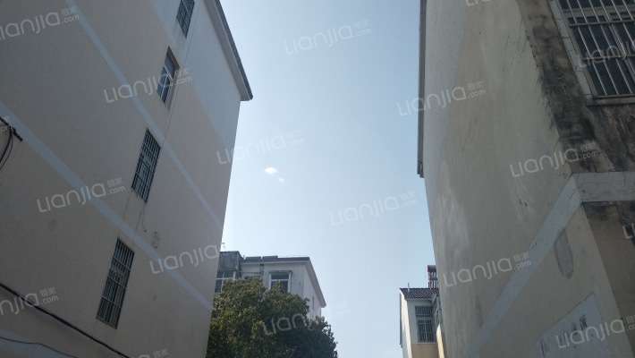 龙门花苑外景图