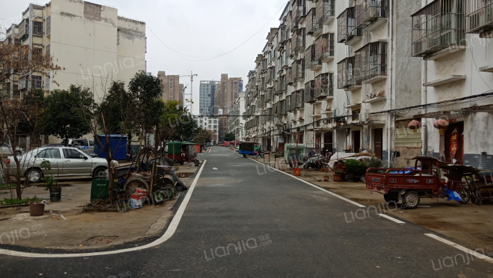 相树新村小区外景图