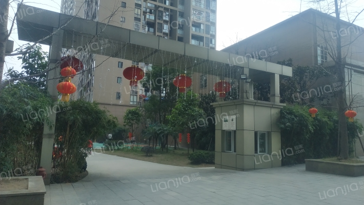 滨江国际外景图