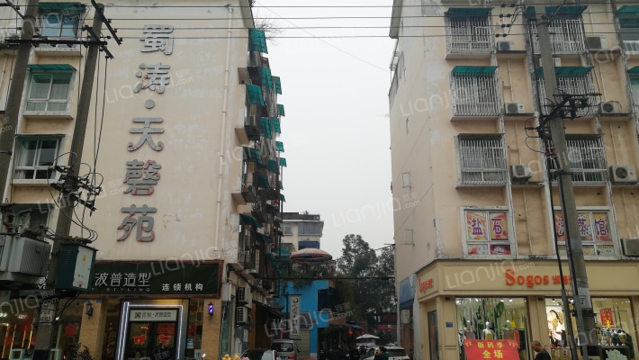 蜀涛天磬苑外景图