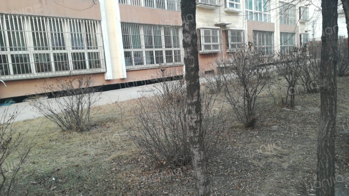 嘉华鑫城B区外景图