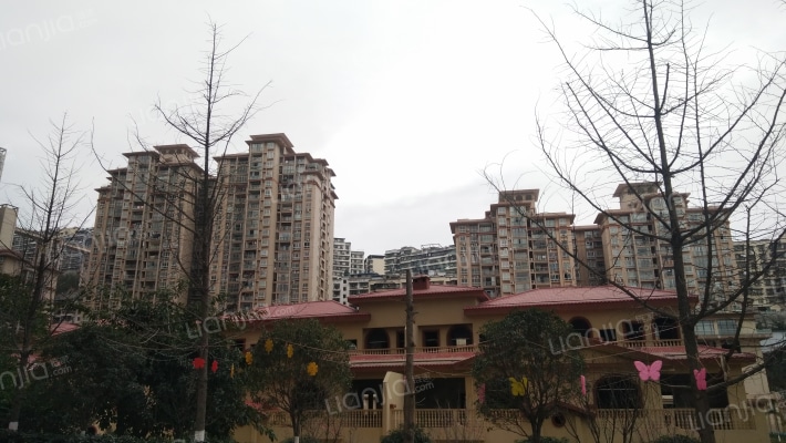 滨江新城外景图