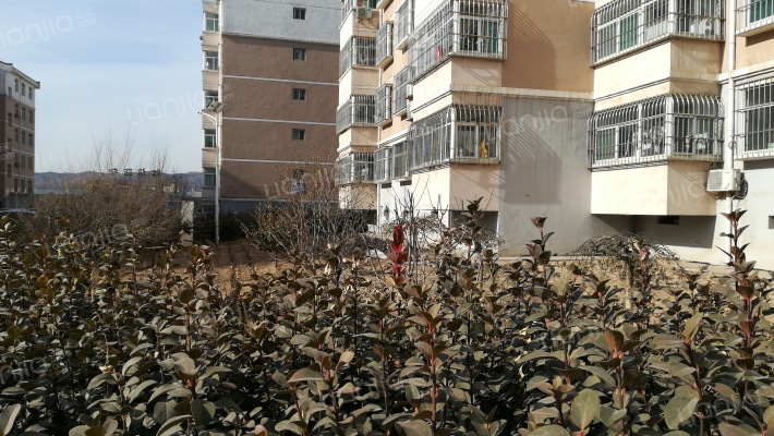 府西新区外景图