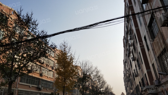 地税局小区外景图