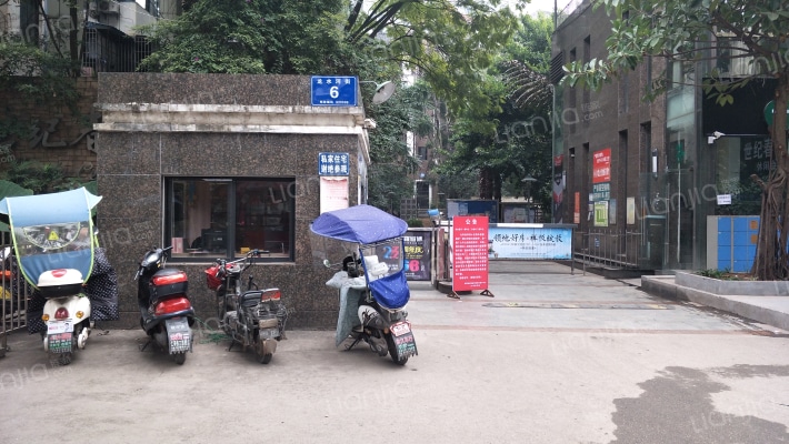 世纪春天外景图