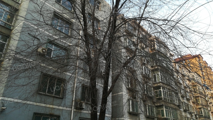 绿色都城外景图