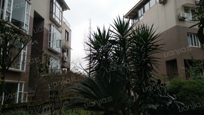 山水世家外景图