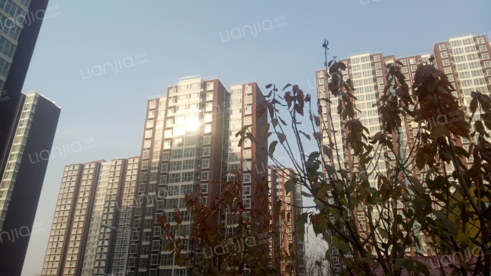 滨河新东城外景图