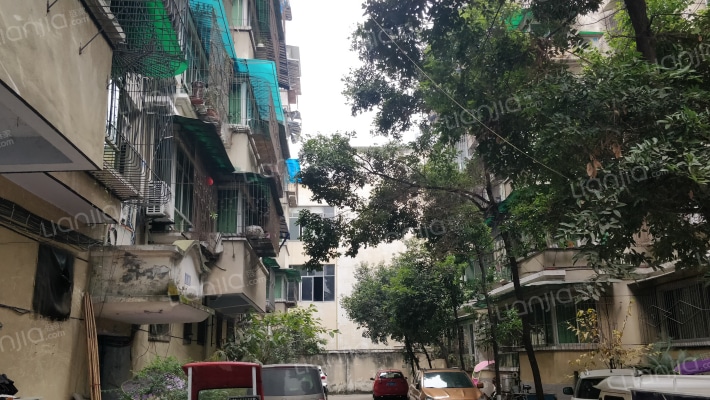 育松顺德苑外景图