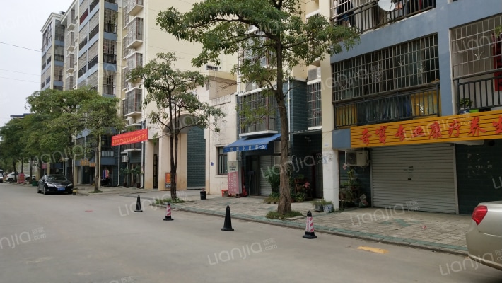 玫瑰花城外景图