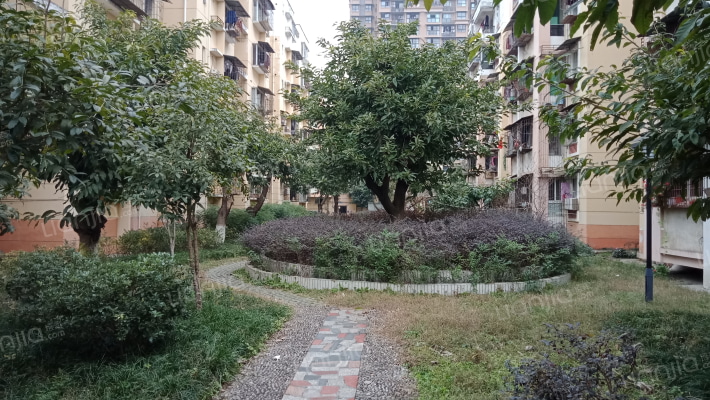 青衣江路社区外景图