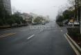 锦都丽园0
