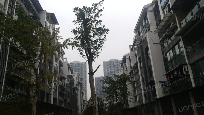 牡丹城B区外景图