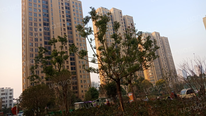 万家滨湖花园外景图