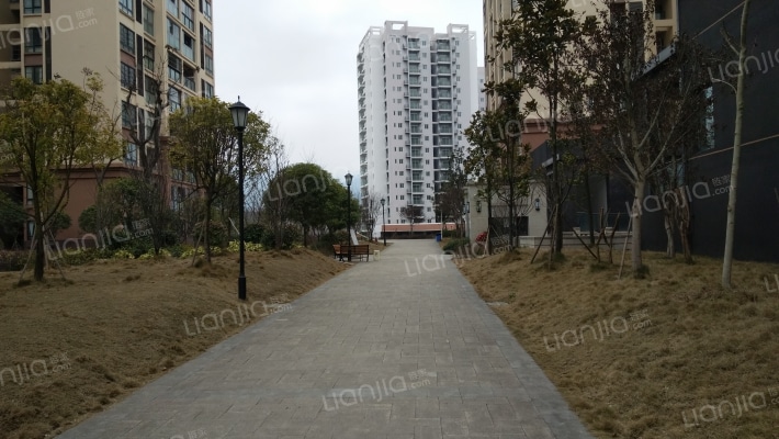 金盾华府外景图