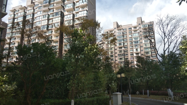 银杏人家外景图