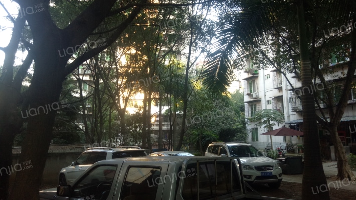 湖光东街外景图