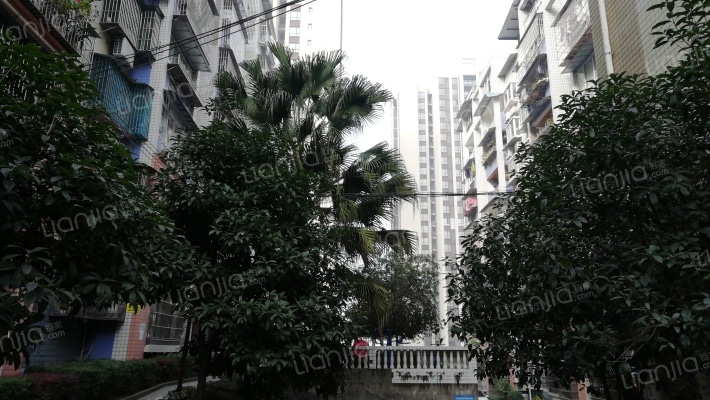 体育花园外景图