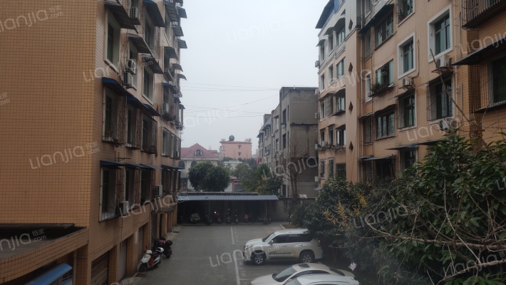 银杏苑三区外景图