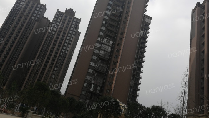 香江国际外景图