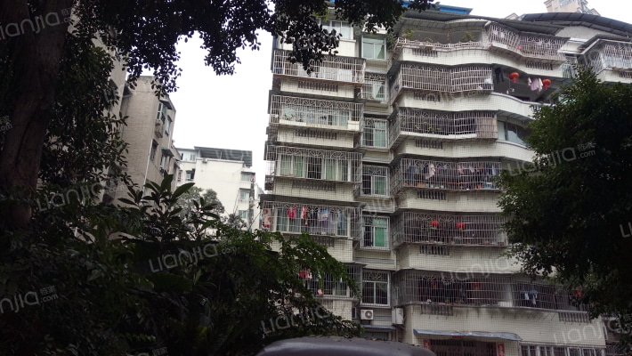 城市静苑外景图